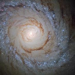 Messier 94 (M94)