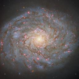 NGC 4689